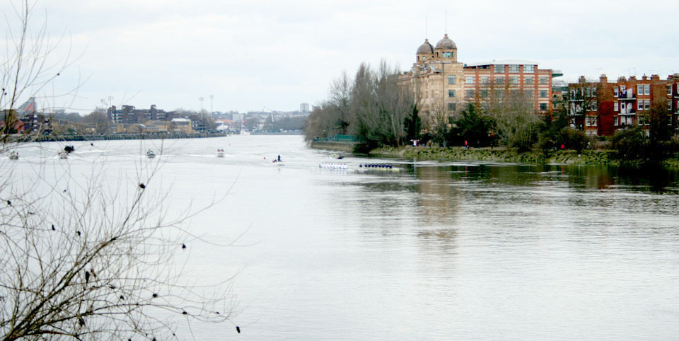 Carrera remo Oxford y Cambridge Chicas Carrera remo Oxford y Cambridge Chicas