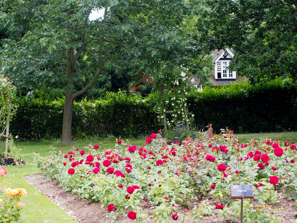 Regents Park 10 cosas que ver rosaleda casita