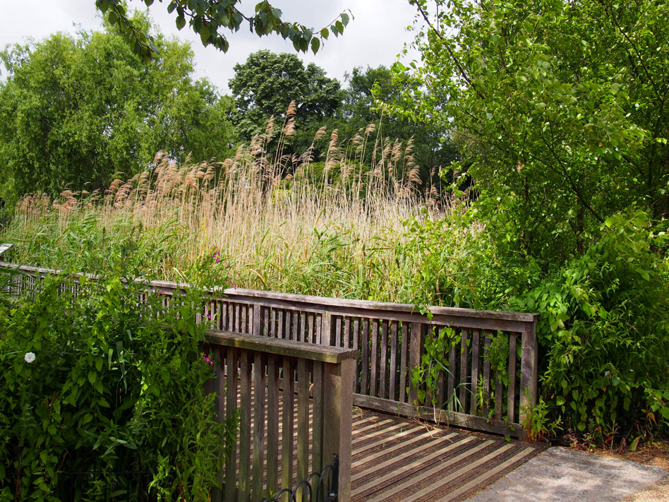 Regents Park 10 cosas que ver puente
