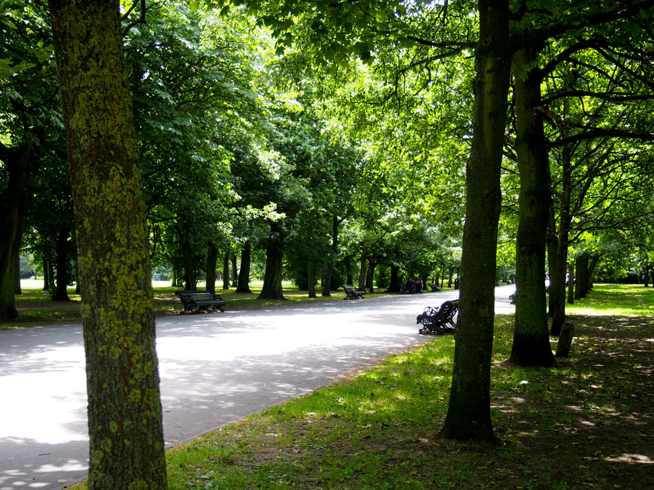 Regents Park 10 cosas que ver the broad walk